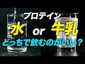 【必見】プロテインを水と牛乳で飲むそれぞれのメリットとデメリットを解説【ビーレジェンド プロテイン】