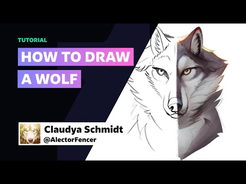 Deviantart Wolf