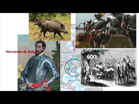 Mitchell County: Early Crossroads of Culture thumbnail