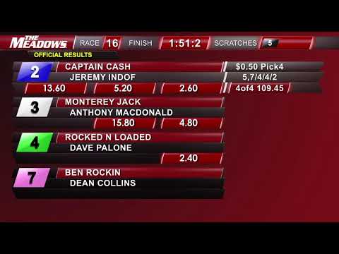 The Meadows Racing - Adios