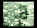 Benoît Pioulard - Ash Into The Sky 