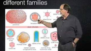 Ari Helenius (ETH Zurich) Part 1: Virus entry