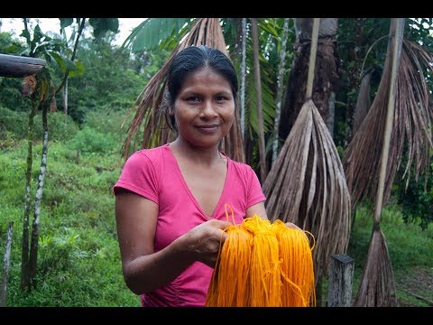 Support native artisans & rainforest in the Amazon