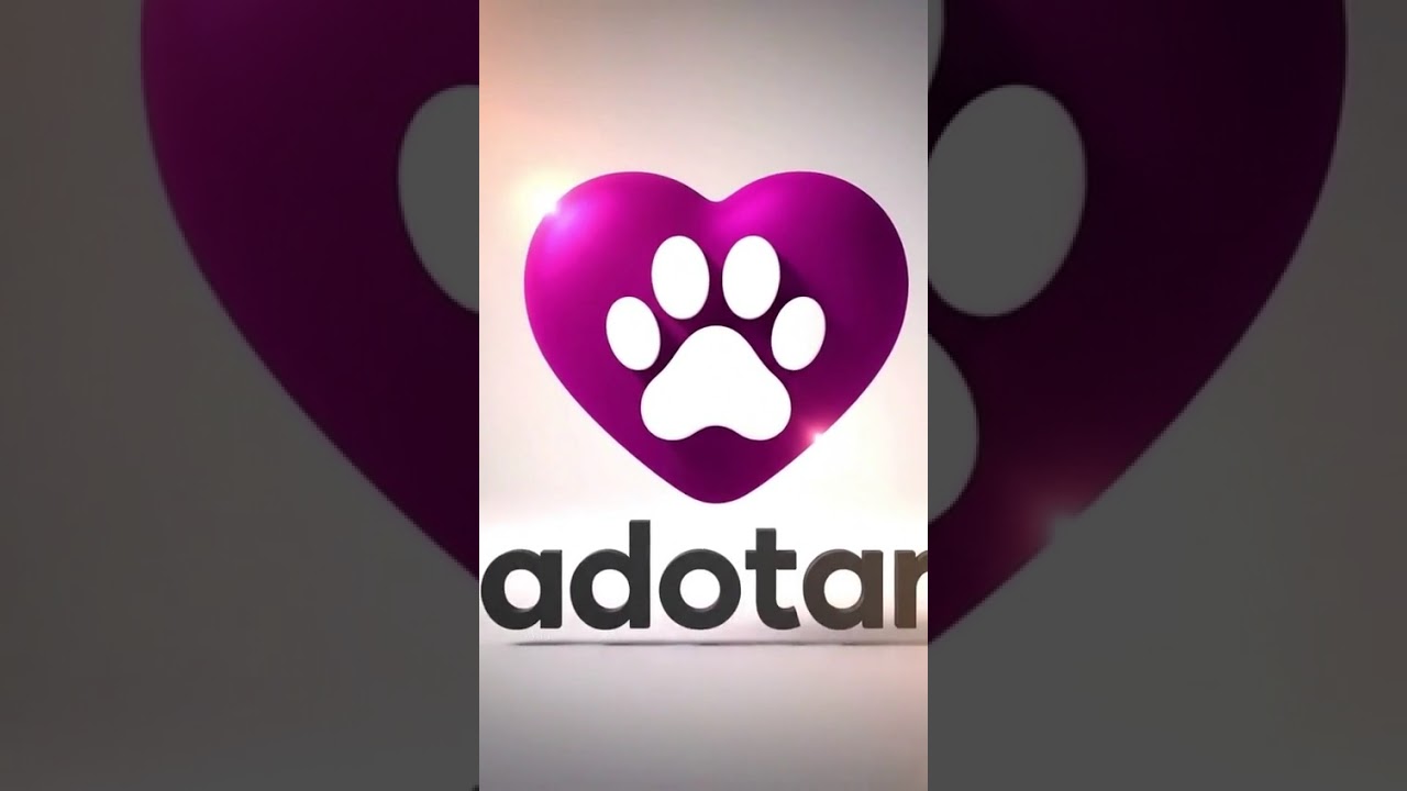 Cachorro raça SRD-ViraLata idade 2 anos nome nagnar