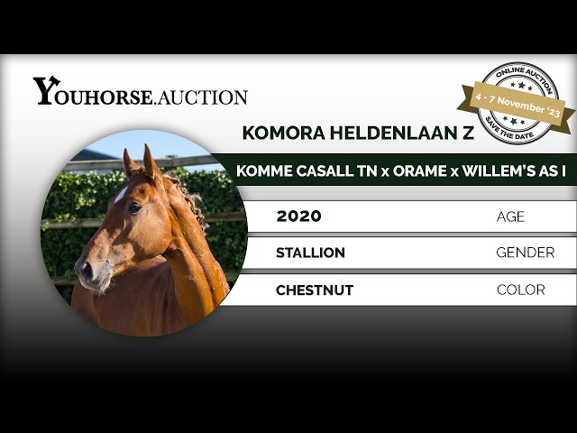 Komora Heldenlaan Z