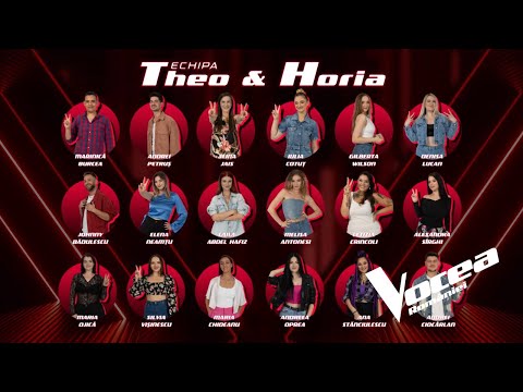 Eliminări echipa Theo & Horia | Vocea României S11