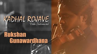 Kadhal Rojave  Violin Instrumental - Rukshan Gunaw