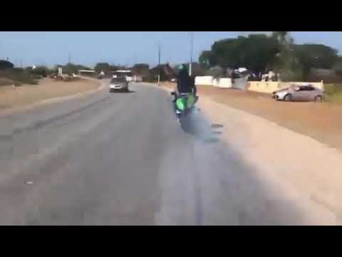 Rasta lit. Kurason na luga