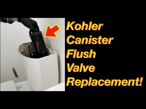 How To Replace a Kohler Canister Flush Valve! 