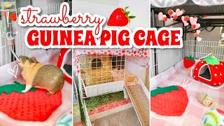 strawberry themed guinea pig cage tour! 🍓♥️