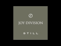 Ice Age by Joy Division