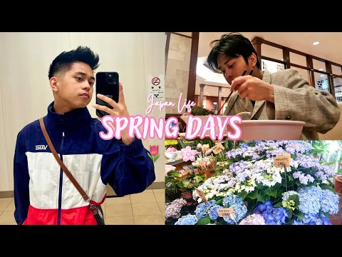 Spring Ramen in Japan: Seasonal Flavours That Only Appear for a Few Weeks