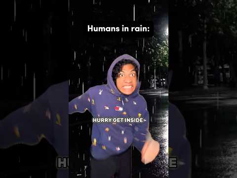 How it is for Humans in the Rain VS Ants in the Rain 🐜 #comedy