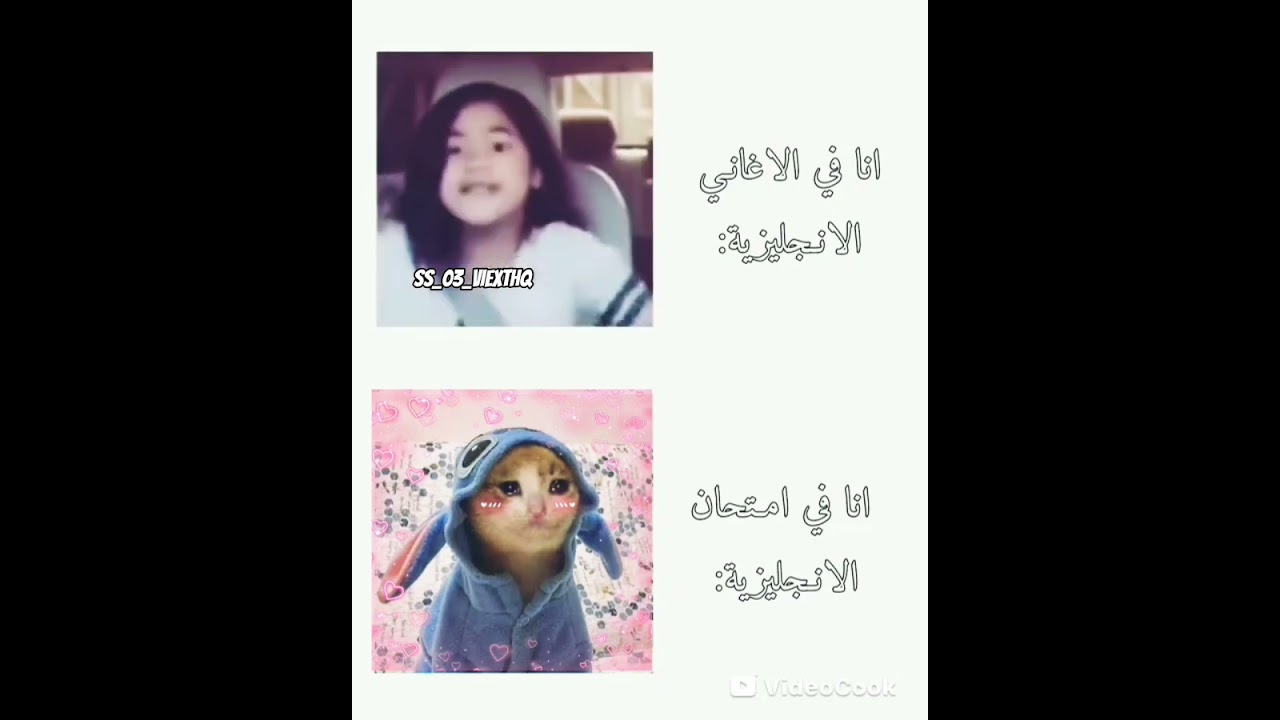 #lyrics #blackpink #blackpink #اهميه #اهميه #music #kpop #اعتني #اكسبلور #شلتنا #تضامنا