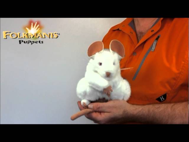 Video Teaser für 2219 Folkmanis White Mouse