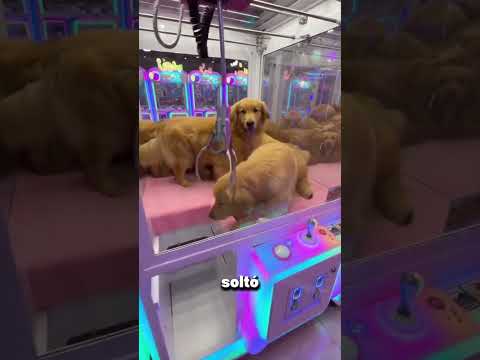 ESO ES TLAMPA FIRULAIS #parody