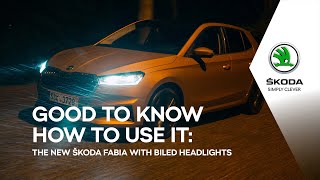 Video 2 of Product Skoda Fabia 4 Hatchback (2021)