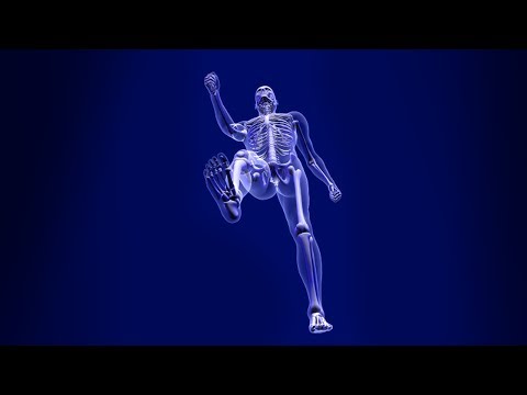 Haz clic para reproducir el video