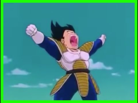 Goku VS Vegeta | First Fight