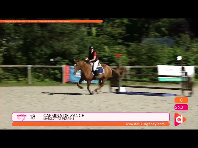 Vente &Eacute;levage SFO - Souche CSIO 5*