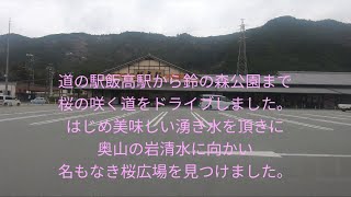 さくらドライブ道の駅飯高駅から鈴の森公園へ