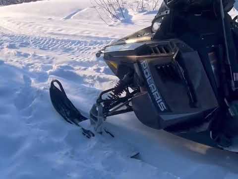 Jan 28, 23. Trapping