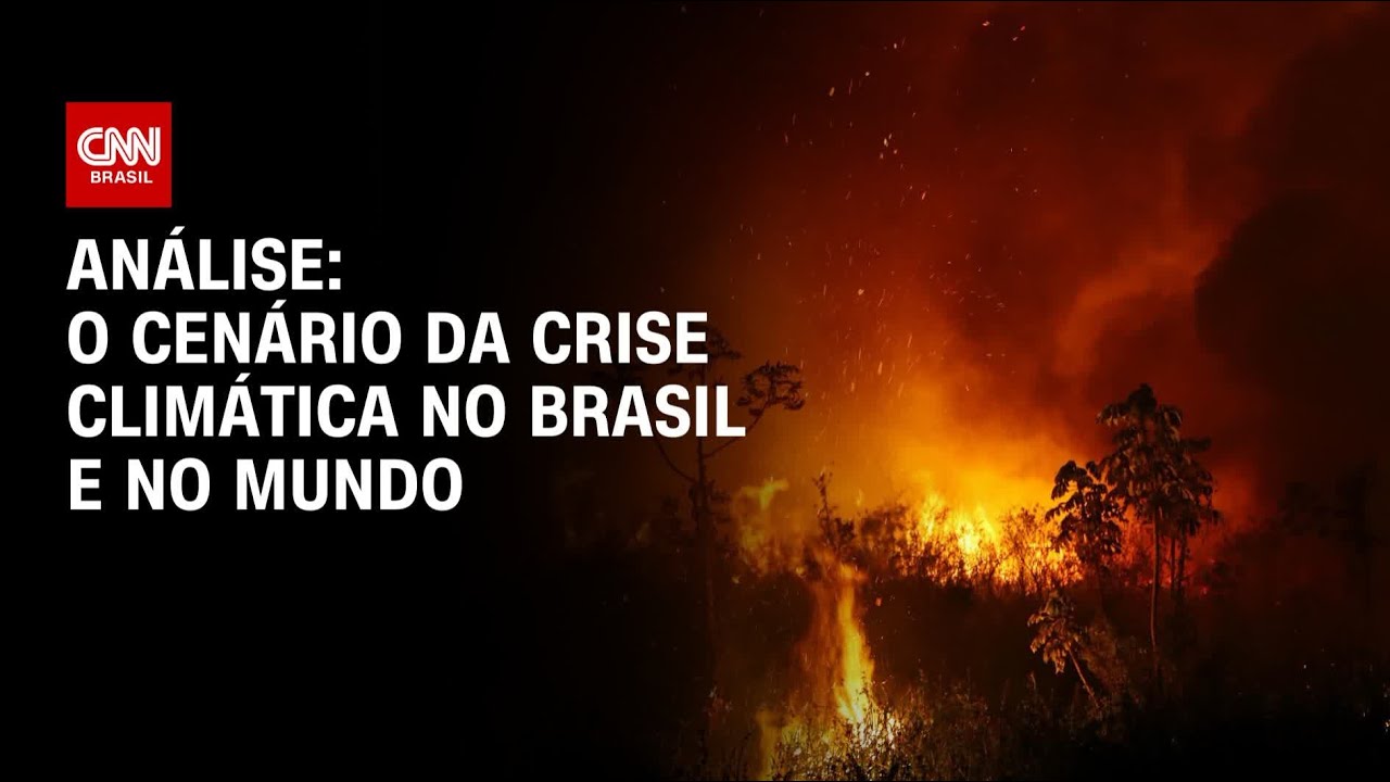 Análise: O cenário da crise climática no Brasil e no mundo | WW