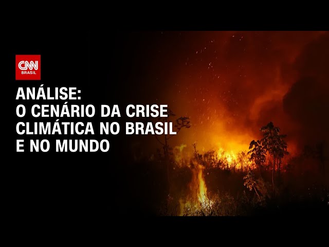 Análise: O cenário da crise climática no Brasil e no mundo | WW