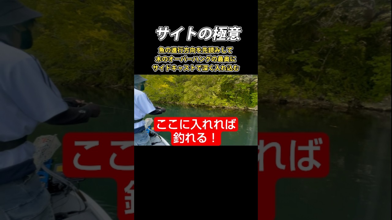 この釣りは脳汁ヤバ過ぎる！ #エリアトラウト #釣り #管理釣り場 #fishing