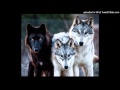 Pretty Girls Make Graves - "The Grandmother Wolf ...