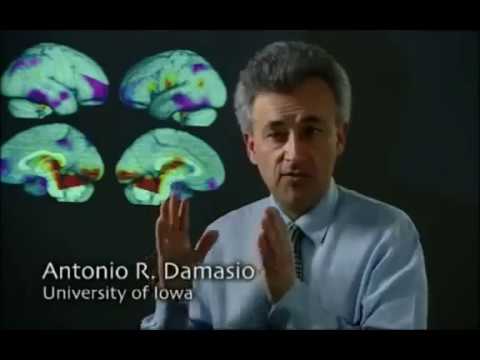 The Secret Life of the Brain (4 of 5) The Adult Brain (2002)