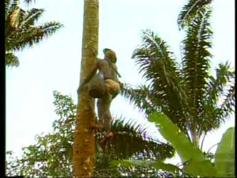 Grupo Anguené Men Ngai