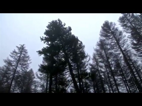 Orkantief RUZICA auf dem Brocken am 08.02.2016