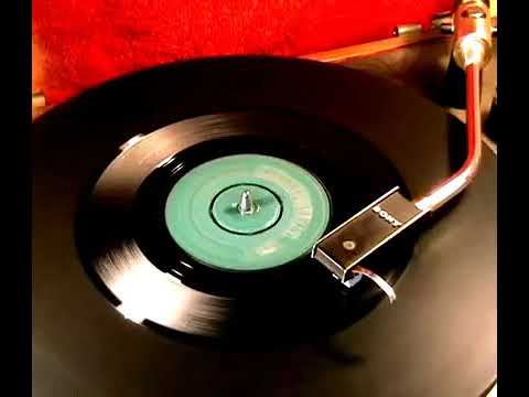 Chubby Checker  -  The Fly  (1961)