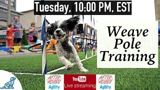 Dog Agility Training - Weave Pole Training - Professional Dog Training Tips