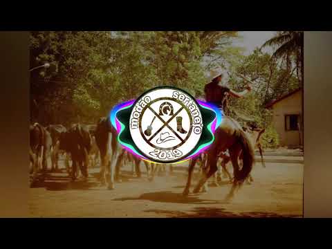 Tião Carreiro & Pardinho - Saudosa Vida de Peão