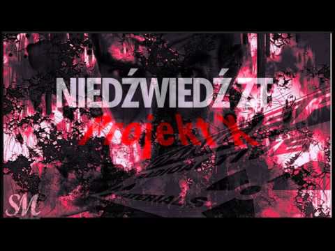 Niedźwiedź ZT - Moja Walka