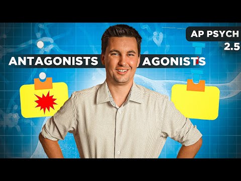 Agonists & Antagonists Drugs  [AP Psychology Unit 2 Topic 5]