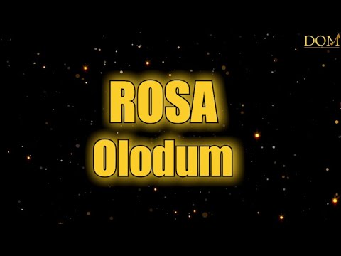 Rosa - Olodum