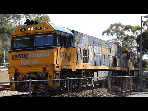 First Nations, The Ghan, Indian Pacific And More! - Freight Trains In The Hills - Ep #11