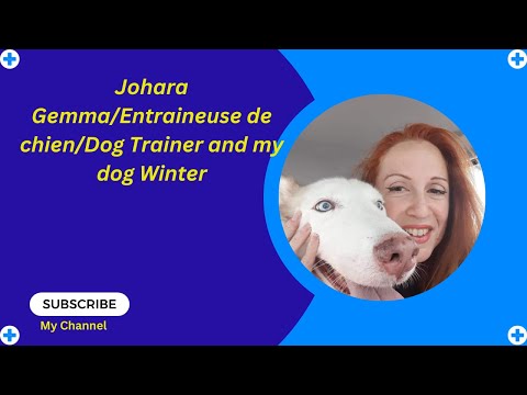"Understanding Dogs/Comprendre les chien." By Dog Trainer/Entraineuse de chien. Johara Gemma