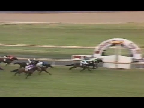 1985 MRC Underwood Stakes