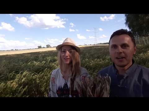 Selva Mariri | Ayahuasca Icaro Mariri