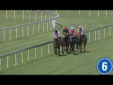 DESERT MIRACLE - Turffontein 9/10/21