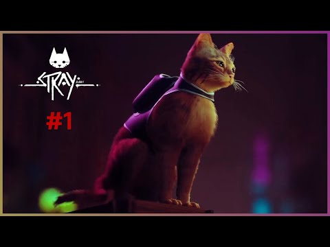 Игра stray про кота