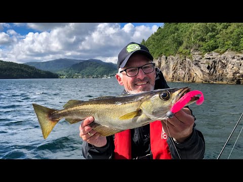 Angeln in Norwegen: Furre Hytter - Pollack-Perle im Südwesten Norwegens