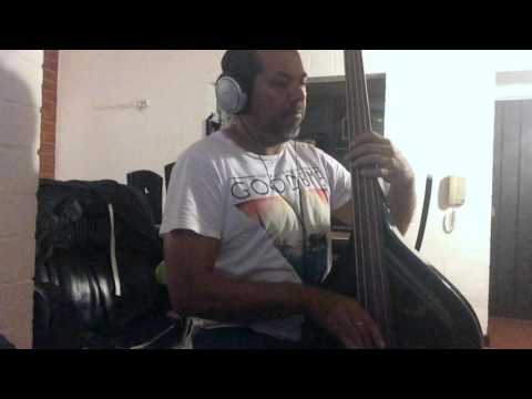 No tuve a quién decirle amor (salsa baby bass)