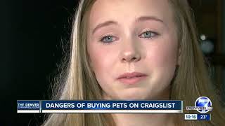 Thornton family says they were scammed into buying sick dogs that died days later at home