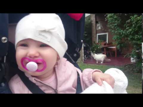 Michelle säger hej till katten :)