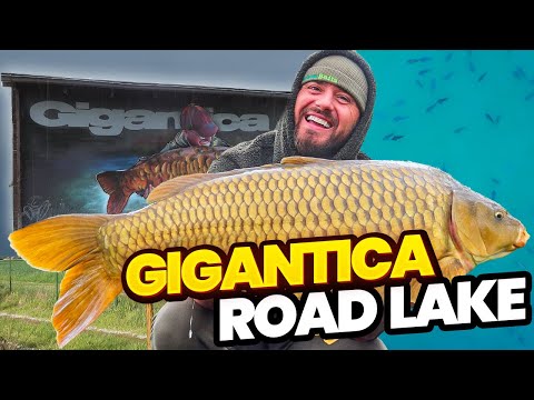 Gigantica Road Lake With Ben Parker & @CaravanCarpers | Carp Fishing Holiday